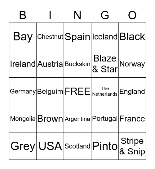 Horse Colors & Geography Bingo Card