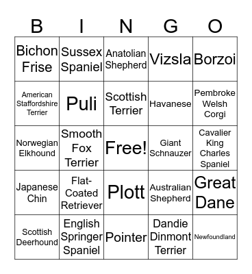 And Bingo Was His Name-O! Bingo Card