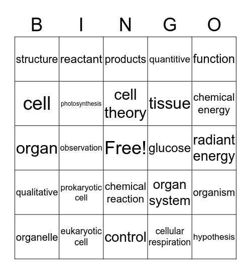 Cell Structure and Function Bingo Card