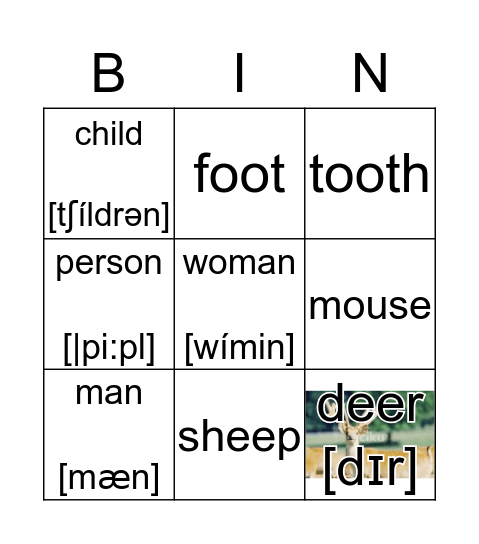 셀 수 있는 명사 -복수 (불규칙) Bingo Card