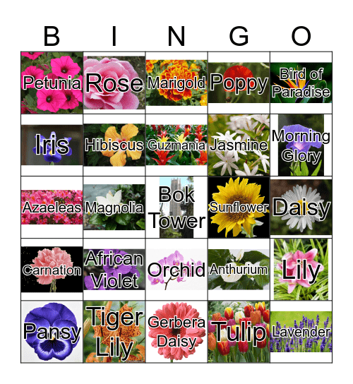 Bok Tower Garden Bingo Card