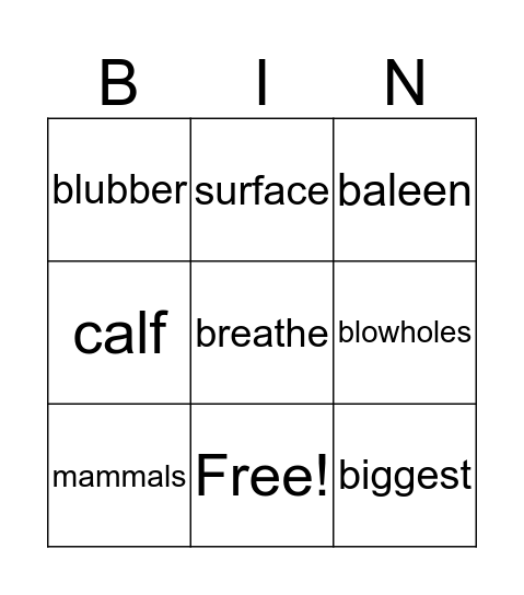 Blue Whales Bingo Card