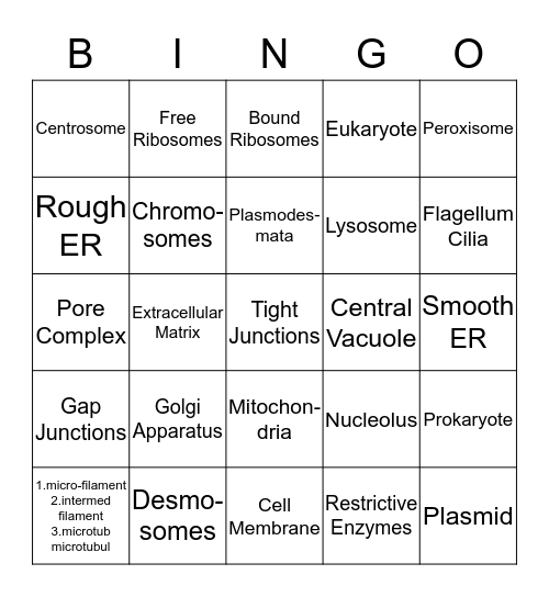 AP BIO CHAPTER 4 Bingo Card