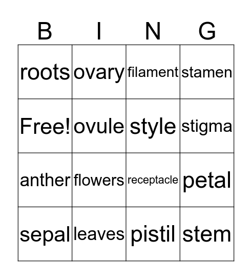 PLANTS Bingo Card