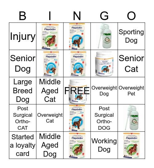 JOINT SUPPORT Bingo Card