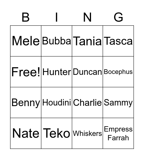 Pets Bingo Card