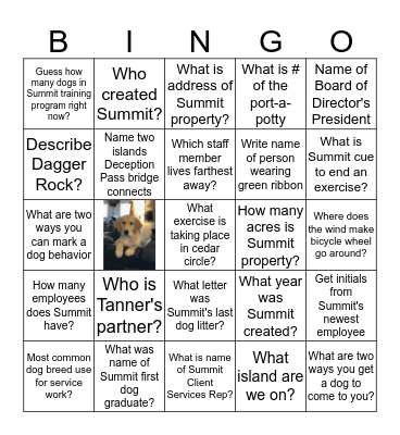 Summit Volunteer Picnic Blackout Bingo Card