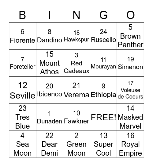 Melbourne Cup Bingo Card