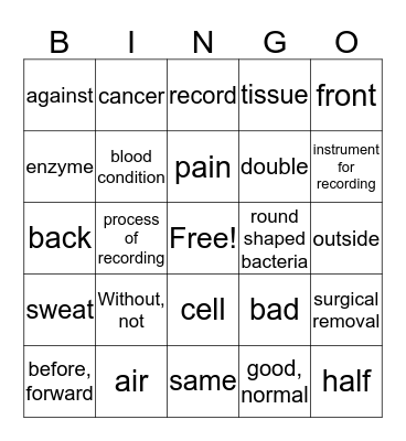 Anatomy Terms Part 1 Bingo Card