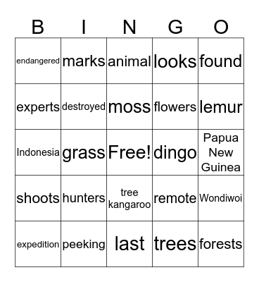Tree Kangaroo Bingo Card