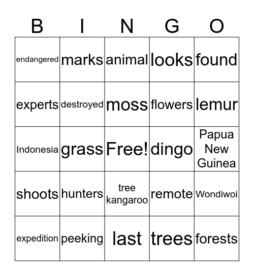 Tree Kangaroo Bingo Card