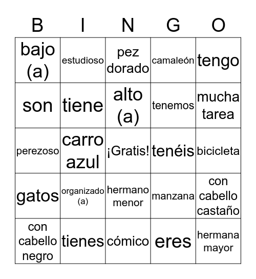 ¿Cómo son? Y ¿qué tienen? Bingo Card