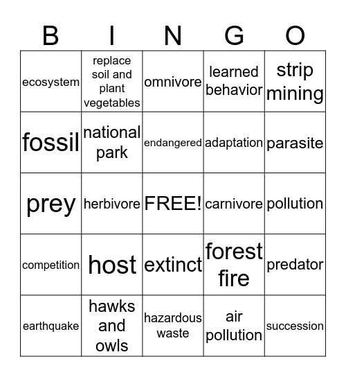 Ch. 4 Test Review Bingo Card