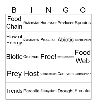 Interdependence Bingo Card