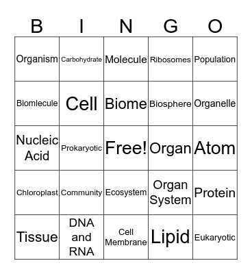 Levels, Biomolecules, and Cells  Bingo Card