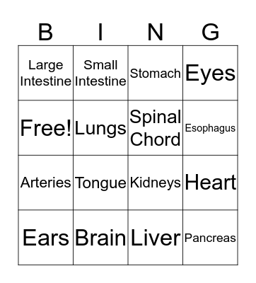 Body Organs/Parts Bingo Card