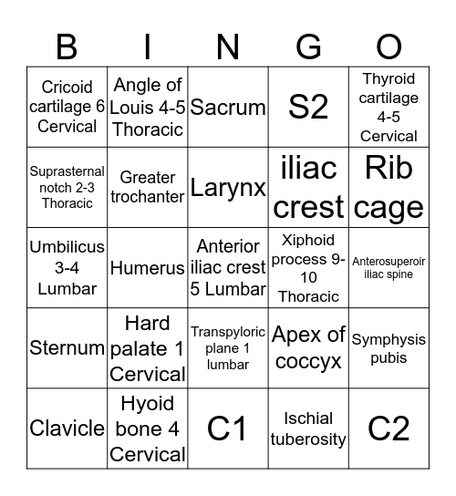 Anatomy Levels  Bingo Card