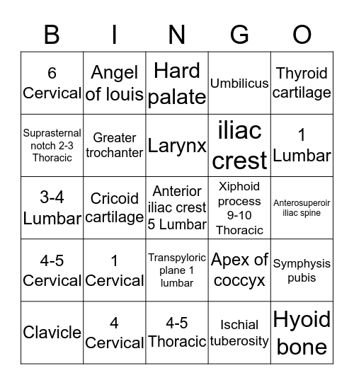 Anatomy Levels  Bingo Card