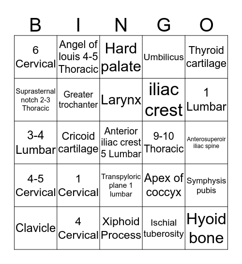 Anatomy Levels  Bingo Card