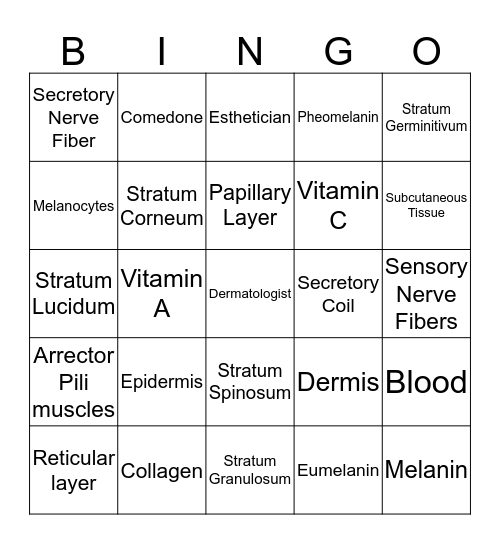 skin structure  Bingo Card