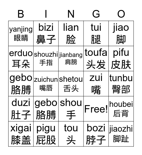 我们的身体 Bingo Card