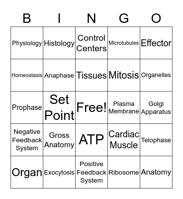 Anatomy Module 1 Bingo Card