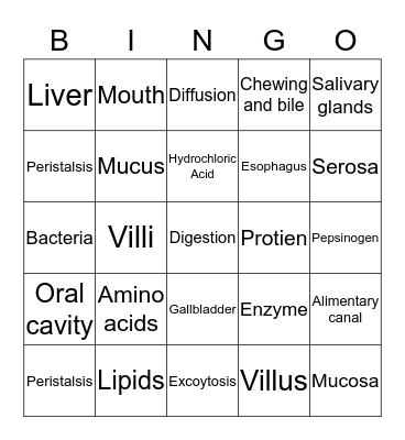 DIGESTIVE SYSTEM BINGO Card