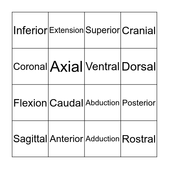 Anatomy Bingo! Bingo Card