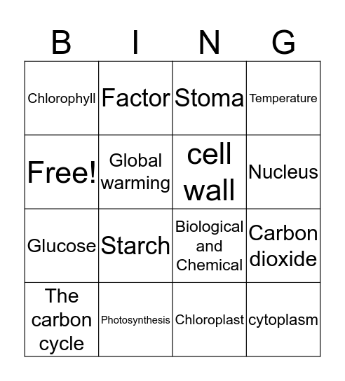 Photosynthesis Bingo Card