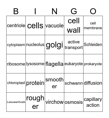 ch.7 review Bingo Card
