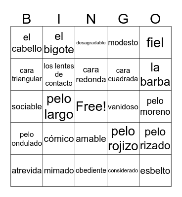 Describiendo Personas Bingo Card
