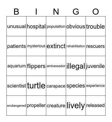 Teal Bingo 10 Bingo Card