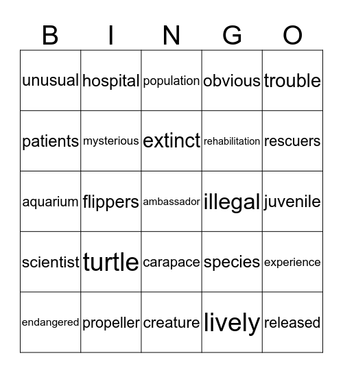 Teal Bingo 10 Bingo Card