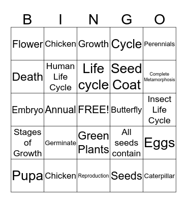 Life Cycle BINGO Card