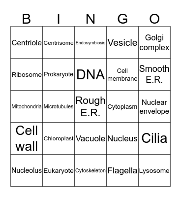 Biology Cell Bingo Card