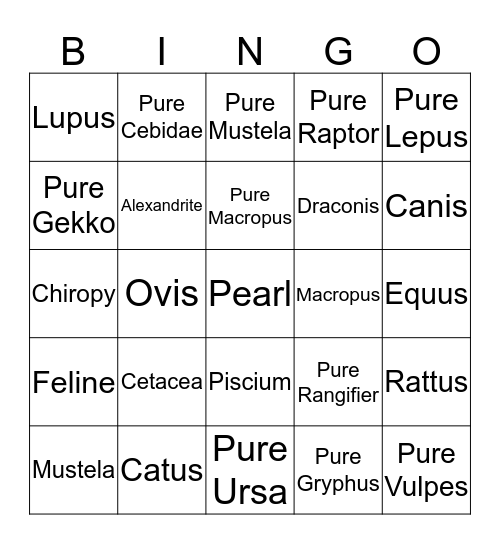 Ovipets Bingo Card
