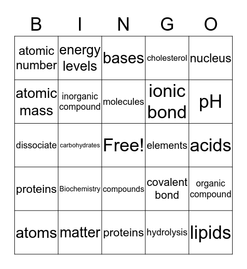 Chapter 2 Review Bingo Card