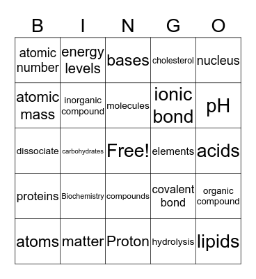 Chapter 2 Review Bingo Card