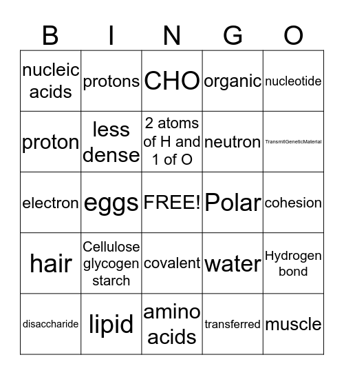 BioChemistry Bingo Card