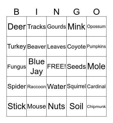 Nature in the Fall  Bingo Card