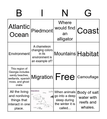 Habitats of Georgia Bingo Card