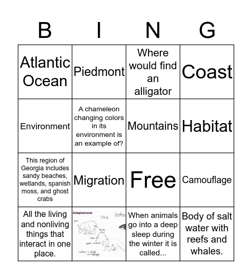 Habitats of Georgia Bingo Card
