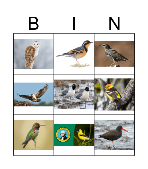 Bird Match Bingo Card