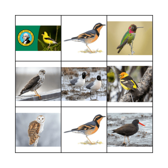 Bird Match Bingo Card