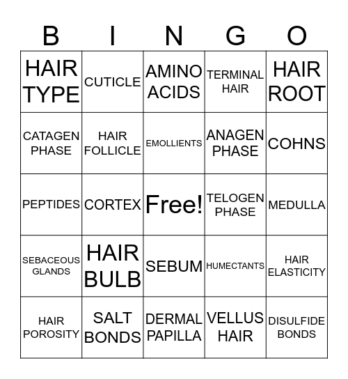 CH. 6 HAIR TYPES, STRUCTURE AND TEXTURES Bingo Card
