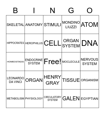 Intro to Anatomy & Physiology Bingo Card
