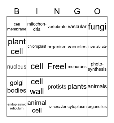 (SOL 5.5) Bingo Card