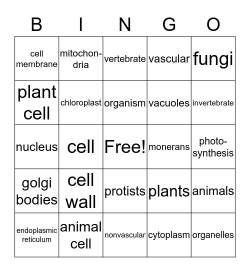 (SOL 5.5) Bingo Card