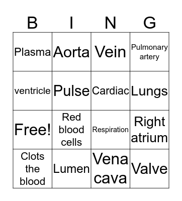 The Circulatory System Bingo Card