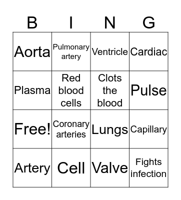The Circulatory System Bingo Card